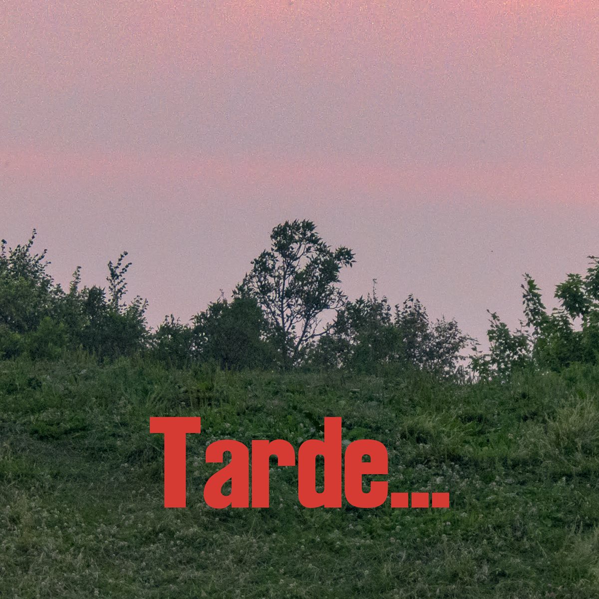 Tarde single cover